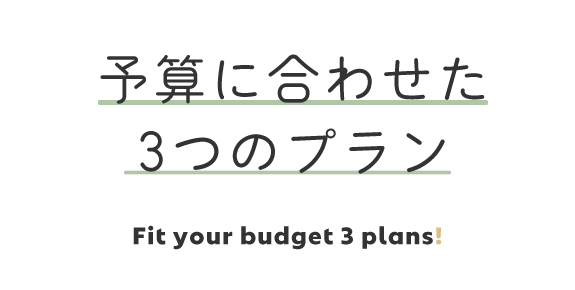 画像：予算に合わせた  3つのプラン Fit your budget 3 plans